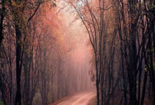 相关人士：足协对18强赛形势有预判，目标是拿小组第四进附加赛.