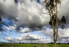 基耶萨禁区外远射破门，利物浦4-0领先.