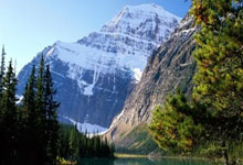 万博体育官网：中场喊话！伊万：不丢第三球就有希望；郑智：有第一个就有第二个.