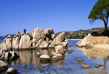 基耶萨禁区外远射破门，利物浦4-0领先.